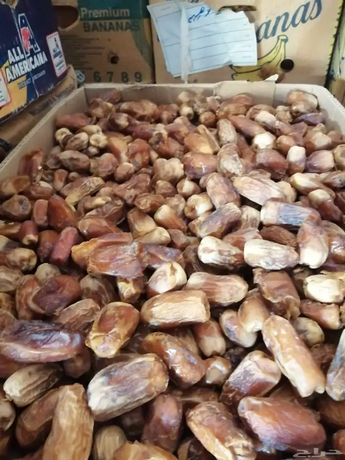 تمر عجينة نضيف ماشاء الله تبارك الله 0