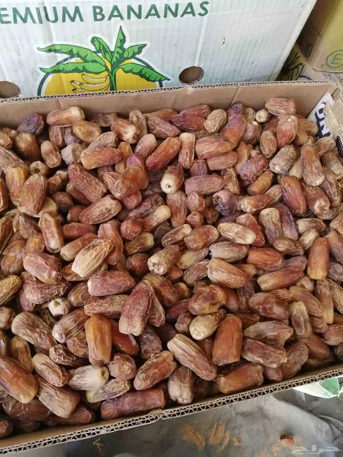 تمر عجينة نضيف ماشاء الله تبارك الله 2