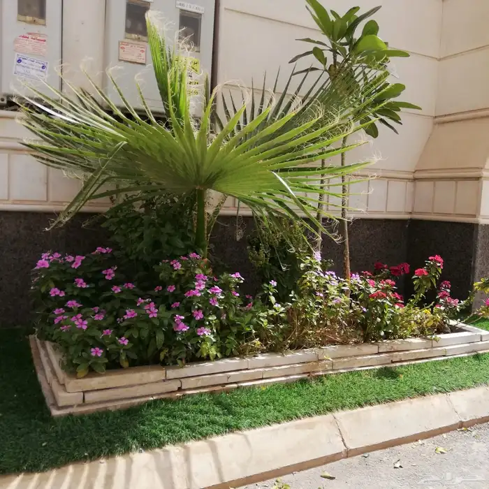 ثيل طبيعي وي ترتيب شجار 6