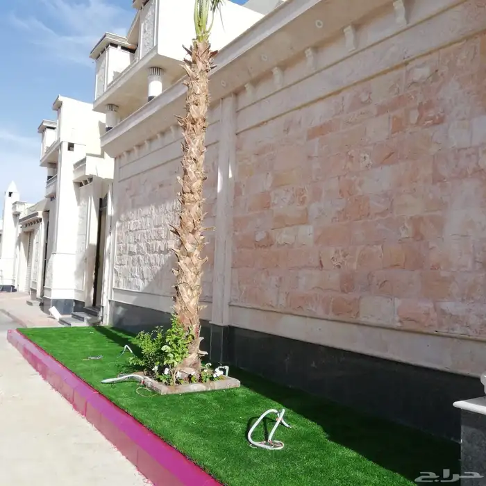 ثيل طبيعي وي ترتيب شجار 0