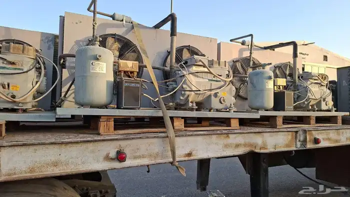 مخازن تجميد تبريد تمور دجاج ورد صناعي وتجاري 1