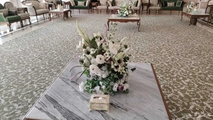 كوشة البارونة 5