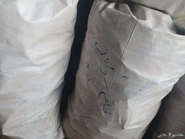 حطب طلح سوداني الدمازين الشاف 5