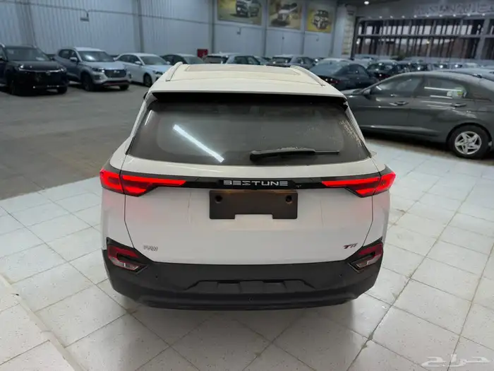 فاو بيستيون 2025 5