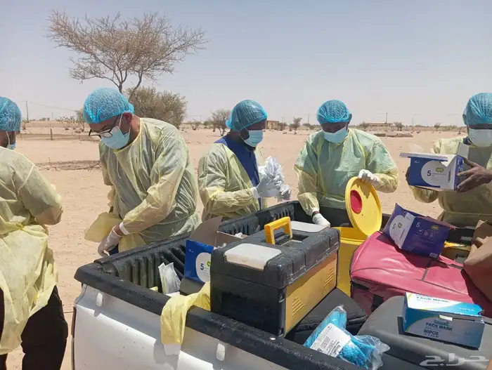 عيادة صفوة الجياد للرعاية البيطرية 4