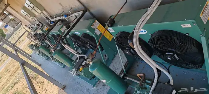 مخازن تجميد تبريد تمور دجاج ورد صناعي وتجاري 0