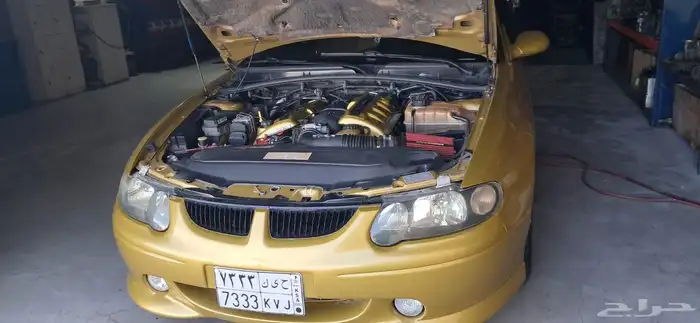 لومينا Ss للبيع 11