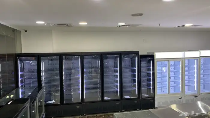 ثلاجه عرض عصاير خضار بيبسي دجاج 1