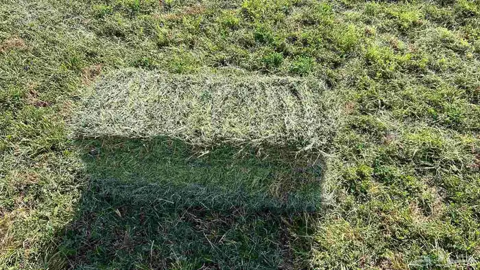 رشاش مزروع برسيم 7 ابراج للإيجار 0