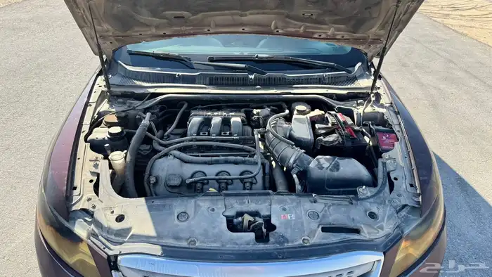 تورس بدي بلد 6