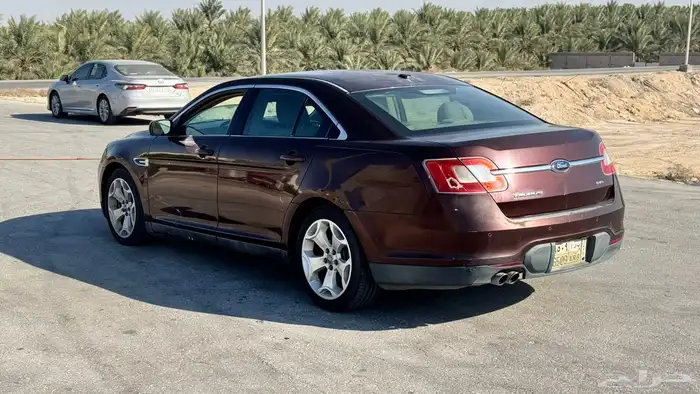 تورس بدي بلد 12