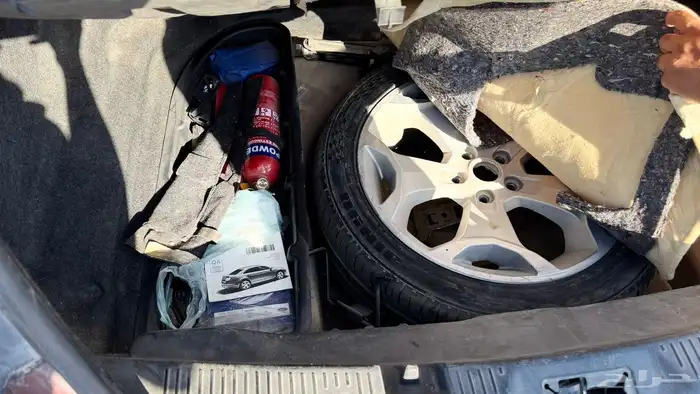 تورس بدي بلد 0