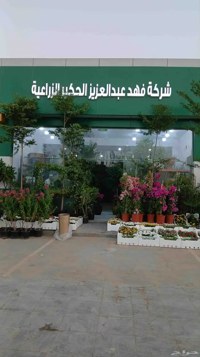 مشاتل الرياض للاشجار 4