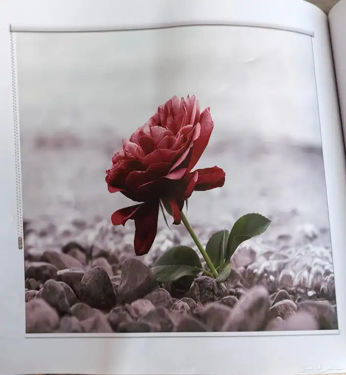 ستاير واي فاي رول تفصيل 2