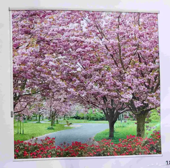 ستاير واي فاي رول تفصيل 4