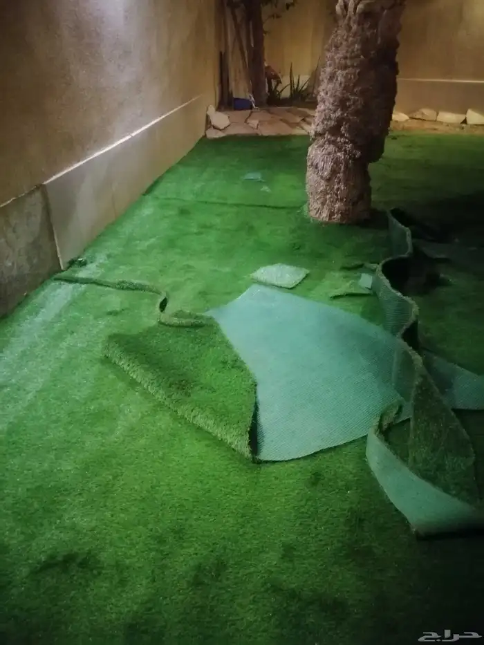 ثيل صناعي انجيلا عشب صناعي 9