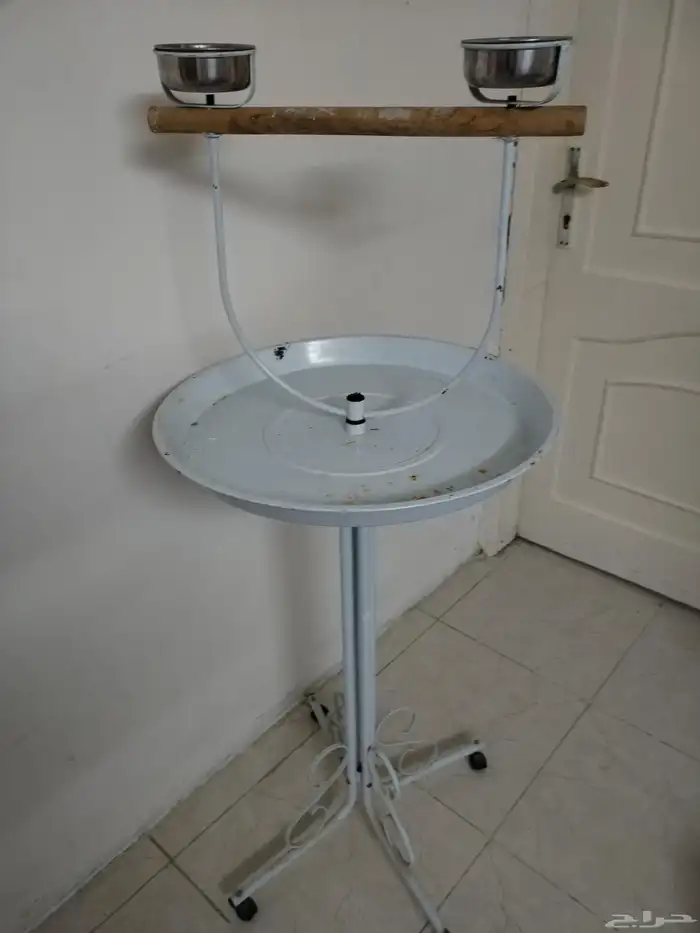 حامل ببغاء 0