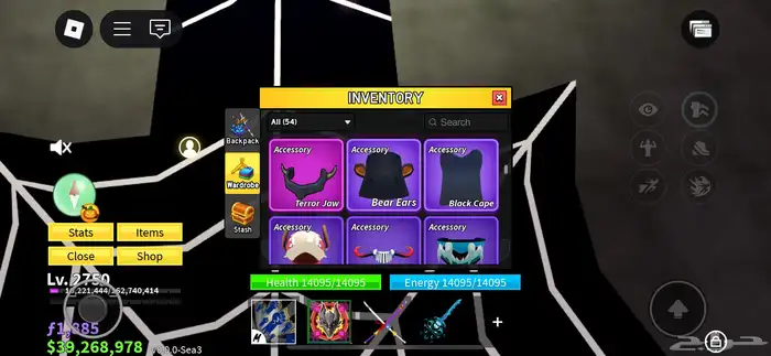 حساب روبلوكس 13