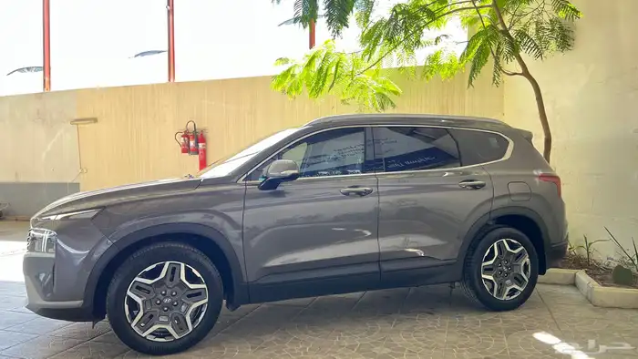 سنتافي 2024 سعودي نصف الفل 1