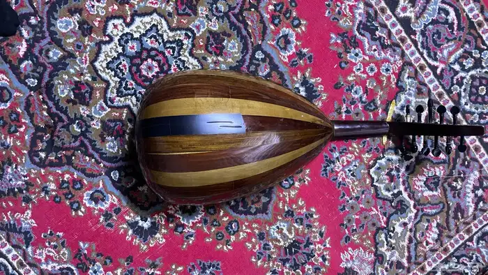 للبيع عود مصري 0