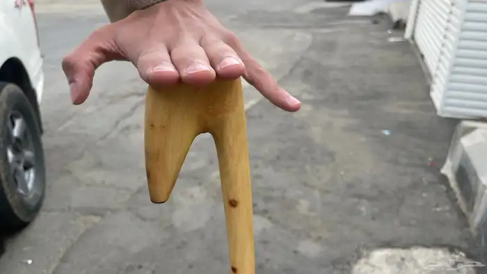 مشعاب جنوبي ممتاز 6