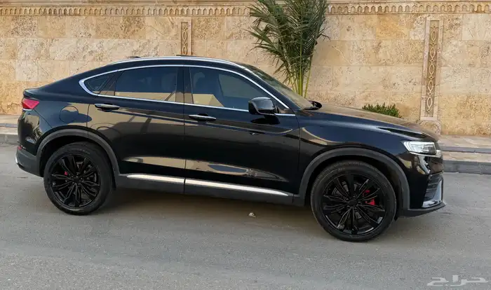 جيلي_توجيلا_2022_فل 14