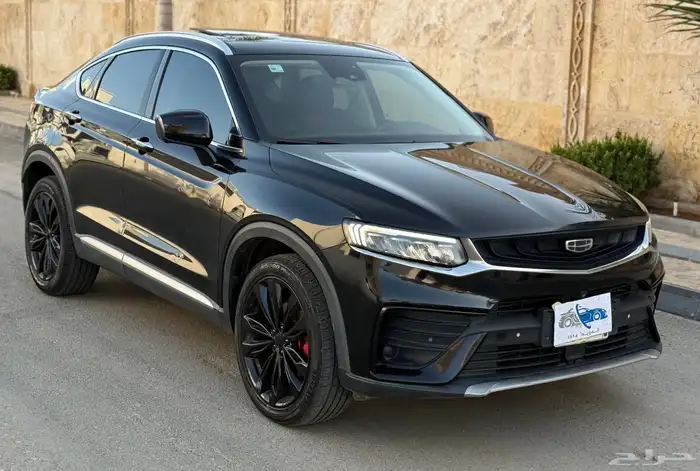 جيلي_توجيلا_2022_فل 9