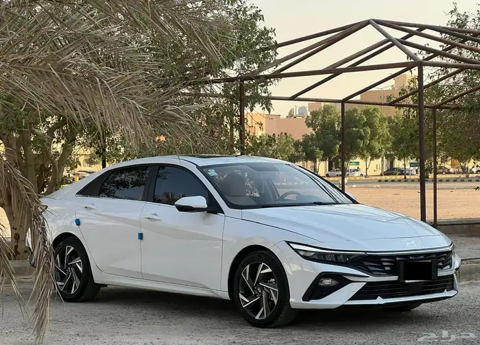 النترا 2025 نص فل 2