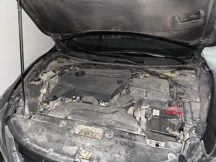 التيما 2018 16