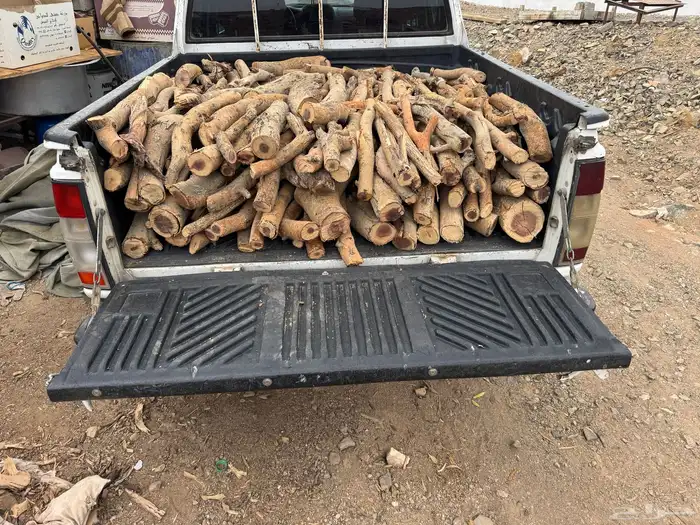 ددسن غمارتين 0