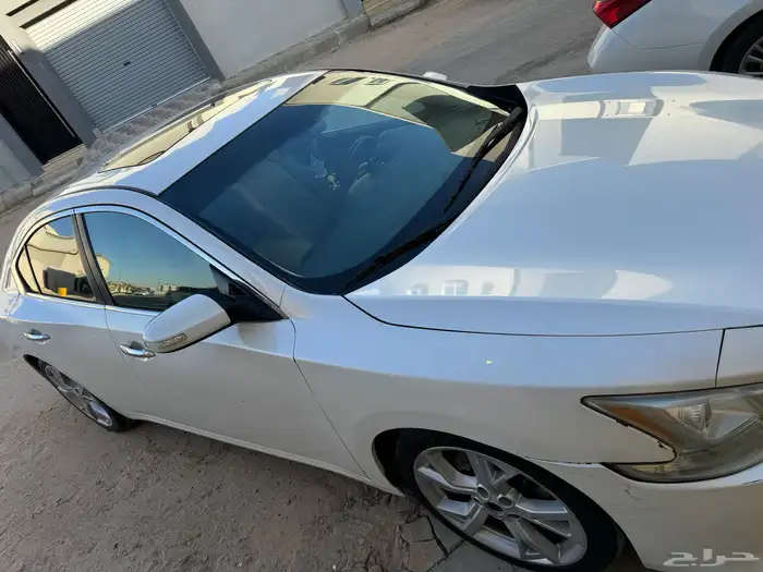 المالك الاول ماكسيما 2013 5