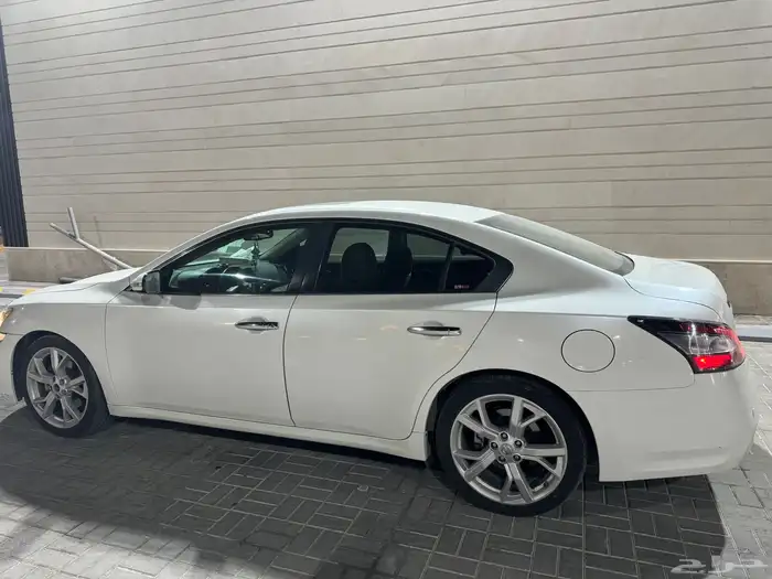 المالك الاول ماكسيما 2013 2