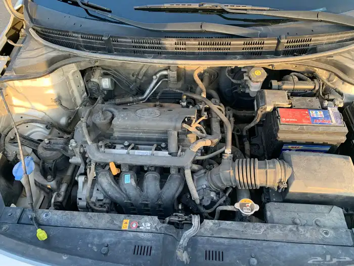 ريو 2019 وكاله ممشى قليل 14