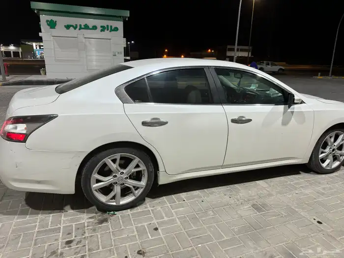 المالك الاول ماكسيما 2013 3