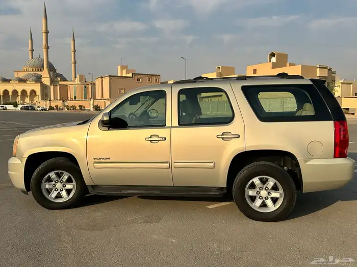 يوكن قصير ذهبي السوم 26 9