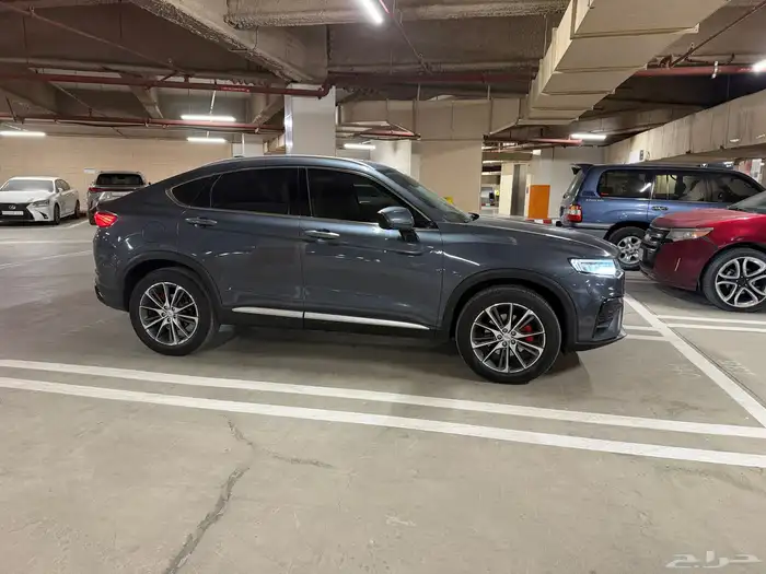 جيلي توجيلا 12