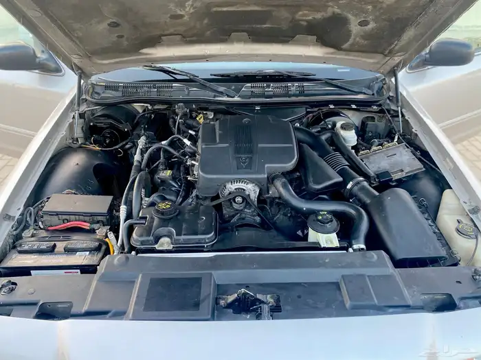 فكتوريا سعودي نظيف 2011 23