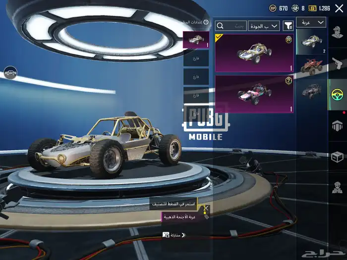 حساب ببجي مع امسفن كل مسج 13