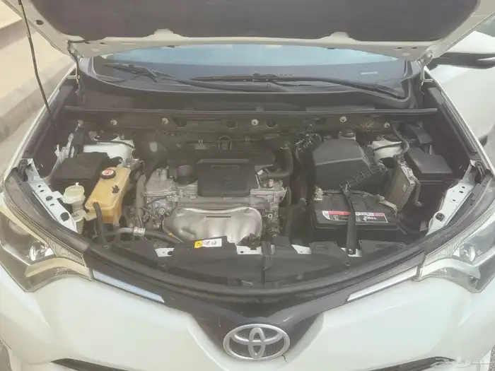 رافور ستادر دبل 2018 6