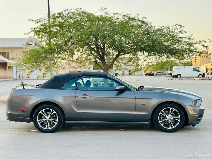 موستنج ((2014))بدي وكاله 3