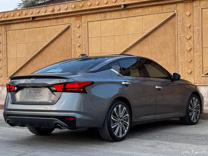 التيماء 2024 نص فل 12