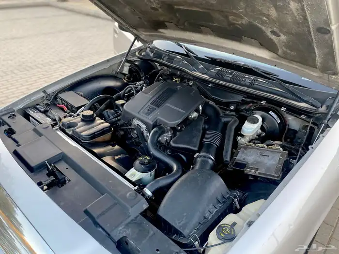 فكتوريا سعودي نظيف 2011 24