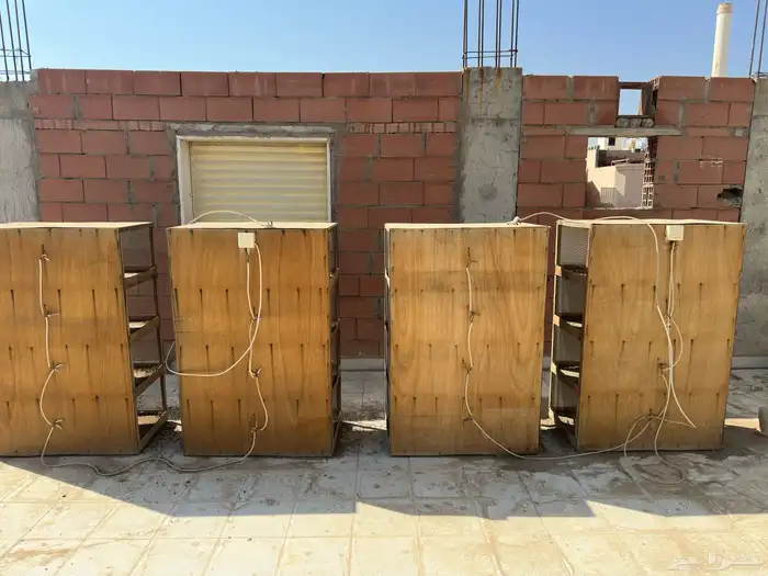 محاكر خشب للبيع 2