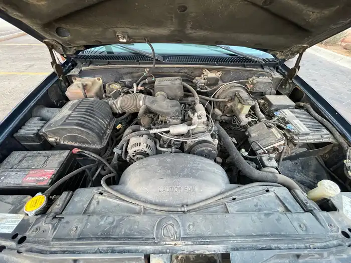 سوبربان مالك ثاني من امريكا 41