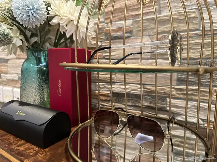 نظارة كارتير 0