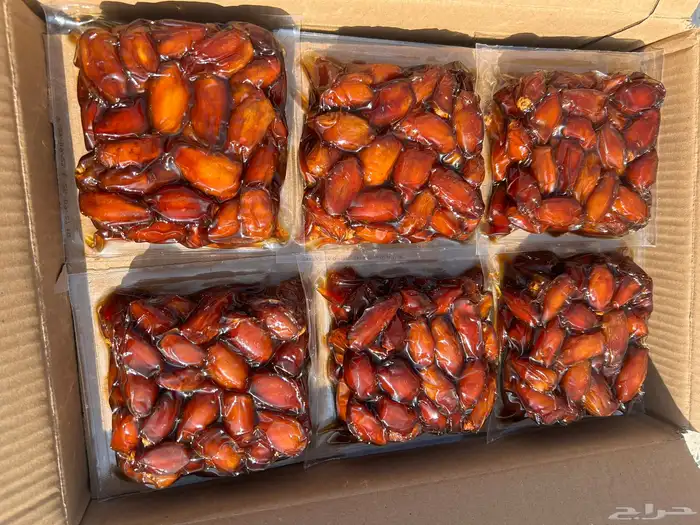 تمر صفري بيشه 2