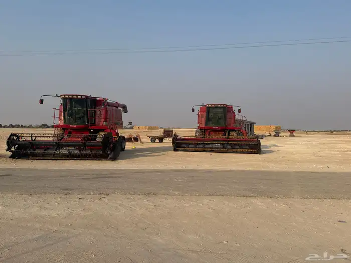 حصادات شبحات بذور رودس قرية العليا 0