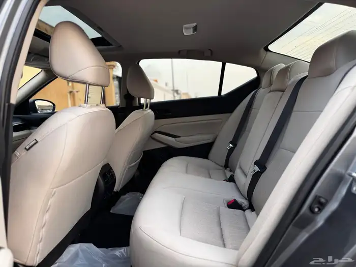 التيماء 2024 نص فل 18