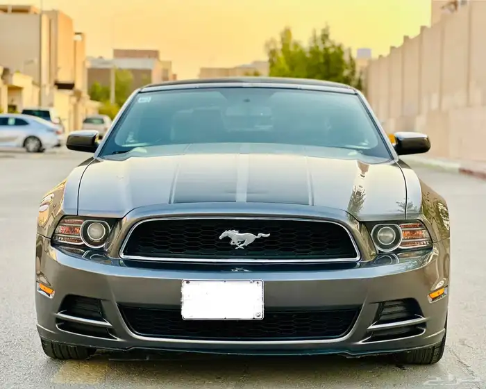 موستنج ((2014))بدي وكاله 9