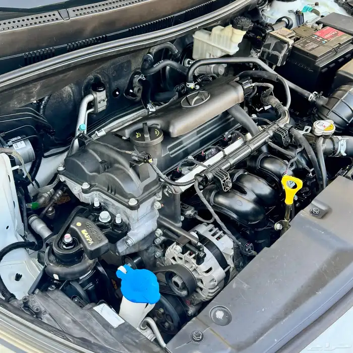 اكسنت 2017 ( الناغي ) 24